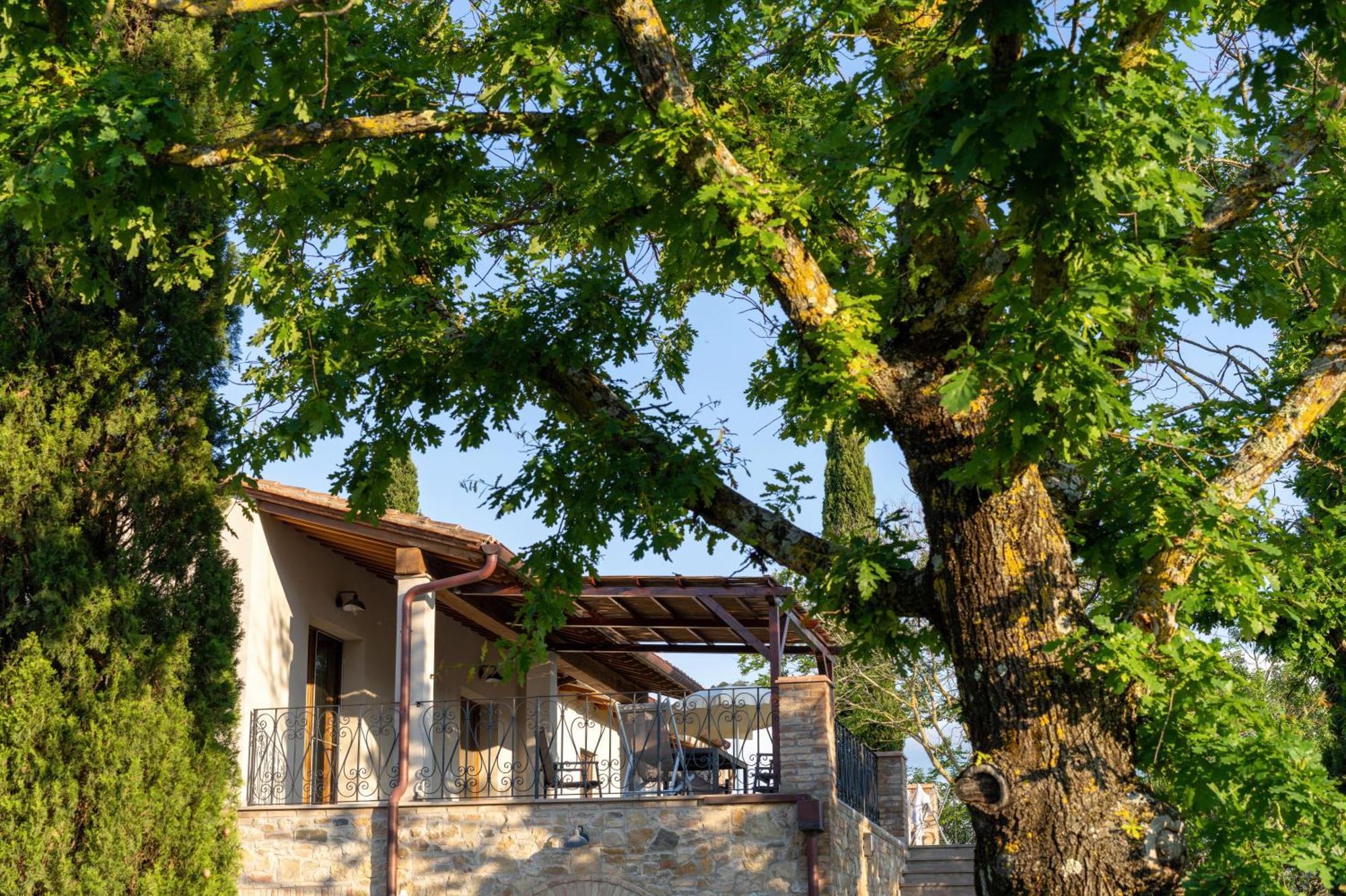 Torrevista - Opened 2022 Aparthotel Montaione Ruang foto